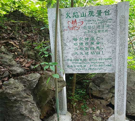 天籁·蝴蝶泉14088