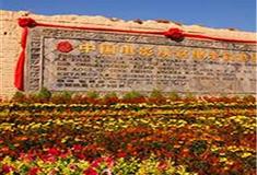 镇北堡西部影视城马缨花