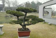 瑶琳仙境三宫六苑