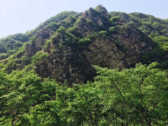 梨木台风景区14764
