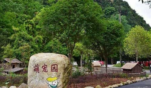 大余丫山风景区14688