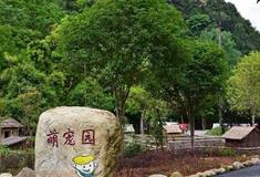 大余丫山风景区：萌宠园