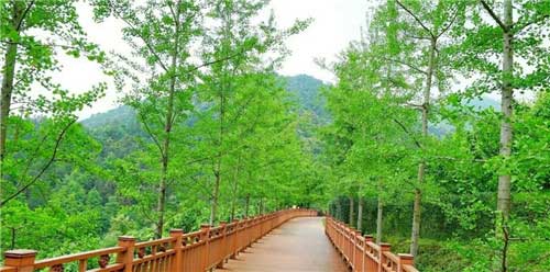 大余丫山风景区14689