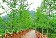 大余丫山风景区：幸福天路