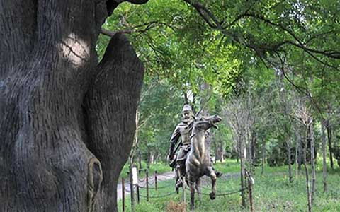 寿光林海生态博览园14267