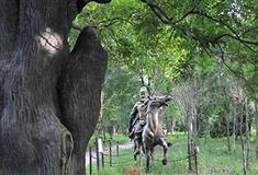 寿光林海生态博览园张飞勒马观槐