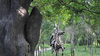 寿光林海生态博览园张飞勒马观槐