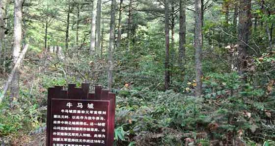 天柱山风景区14847