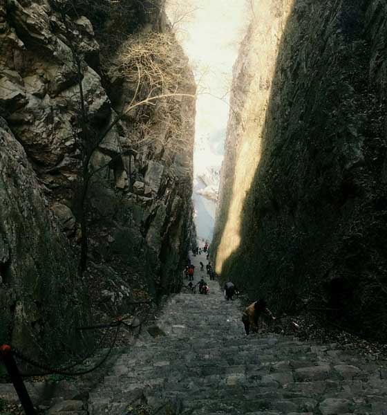 梨木台风景区14756
