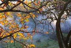 崖下库：李大屋