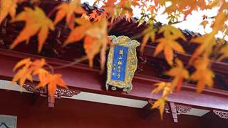 2020南京栖霞山红枫节时间及门票信息