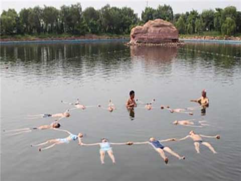 寿光林海生态博览园14261