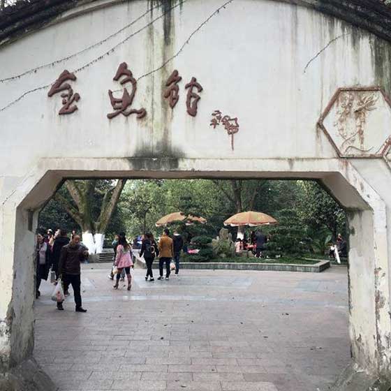 重庆动物园14417