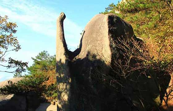 天柱山风景区14855