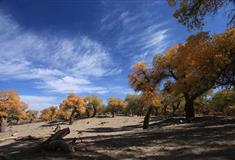 策克口岸：三道桥