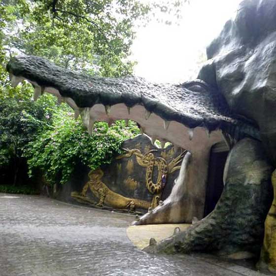 重庆动物园14418