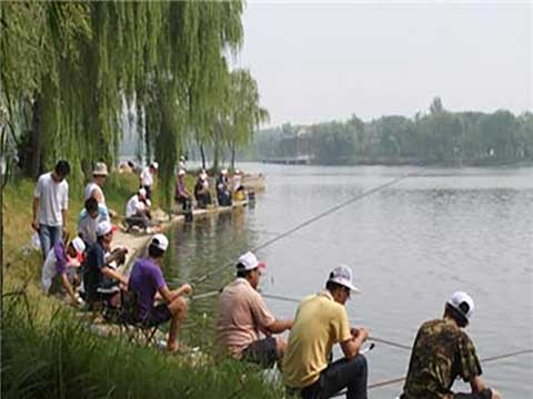 寿光林海生态博览园14259