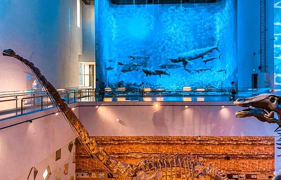 广州广东省博物馆有什么好玩的?值得去吗?附游玩攻略 广州广东省博物馆有什么好玩的?值得去吗?附游玩攻略