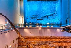 广州广东省博物馆有什么好玩的？值得去吗？附游玩攻略