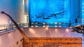 广州广东省博物馆有什么好玩的？值得去吗？附游玩攻略