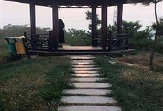 寿光林海生态博览园凉亭