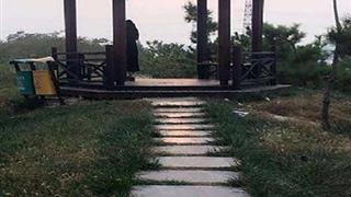 寿光林海生态博览园凉亭