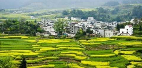 小九华风景区14451