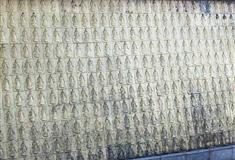 中国观音故里灵泉景区：万佛广场