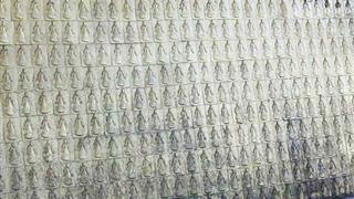 中国观音故里灵泉景区：万佛广场