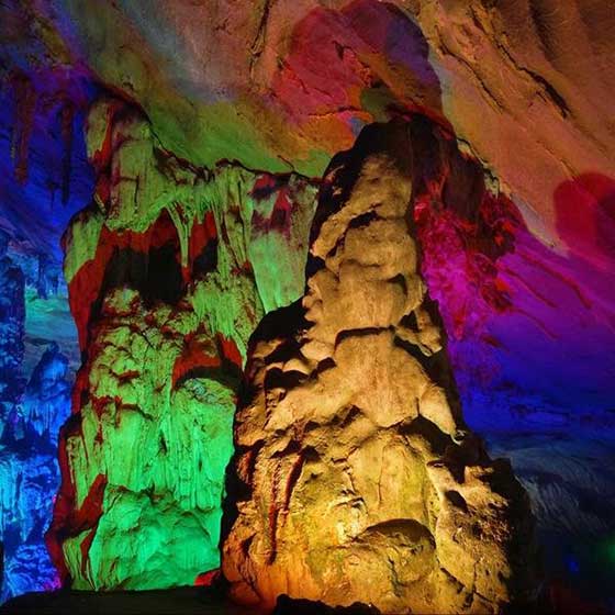 连州地下河恐龙化石