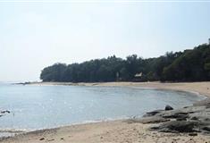 小嶝岛：英雄岛林