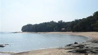 小嶝岛：英雄岛林