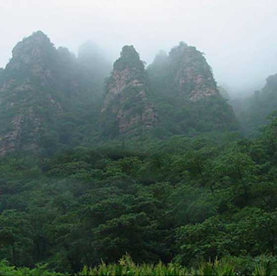 梨木台风景区14757