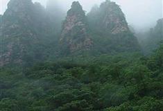 梨木台风景区：五指山