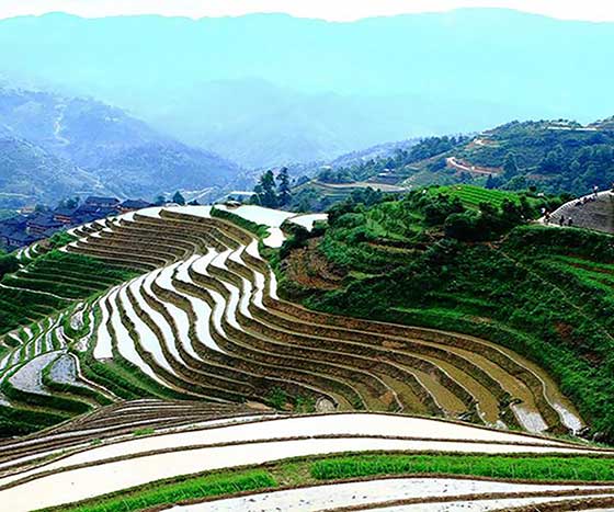 龙脊梯田14279