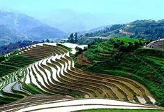 龙脊梯田金坑大寨瑶族梯田