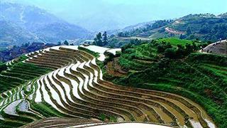 龙脊梯田金坑大寨瑶族梯田 龙脊梯田金坑大寨瑶族梯田