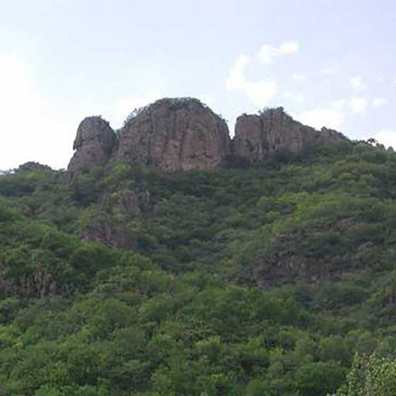 梨木台风景区14762