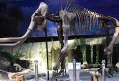 太姥山风景名胜区：古生物化石园