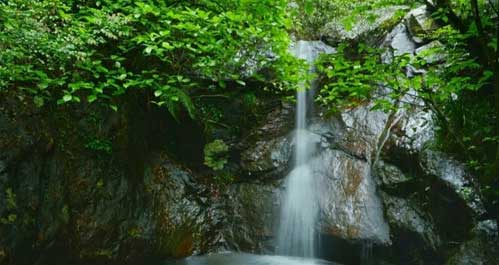 大余丫山风景区14691