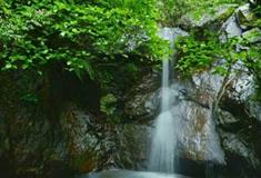大余丫山风景区：白凤瀑