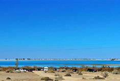 策克口岸：河西新湖