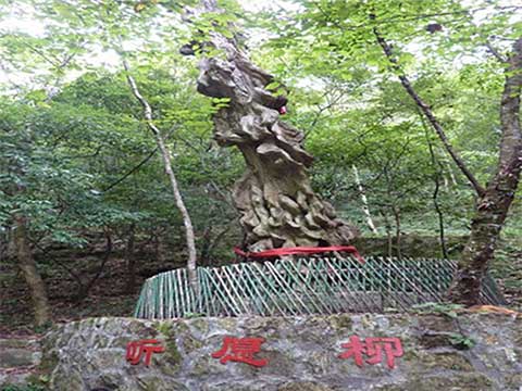 燕子河大峡谷14185