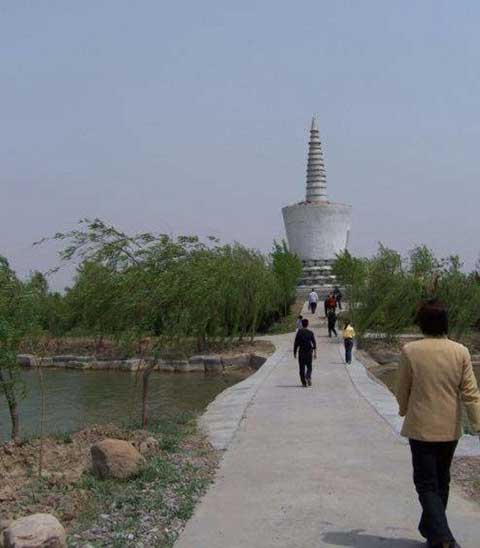 寿光林海生态博览园14276