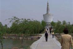 寿光林海生态博览园白塔