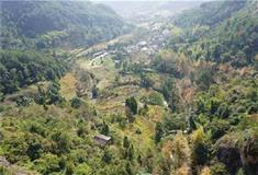 崖下库：凌云亭