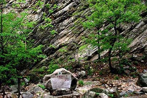 梨木台风景区14761