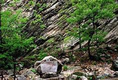 梨木台风景区：千层浪壁画