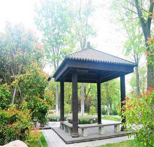 上海鲜花港14532