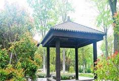 上海鲜花港：未名亭